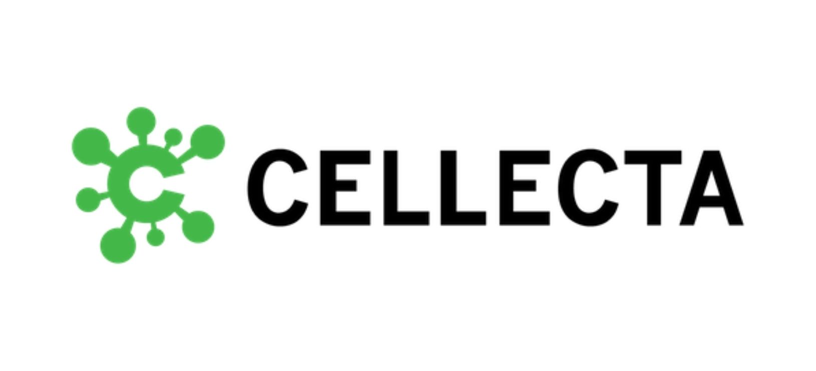 Logo 8